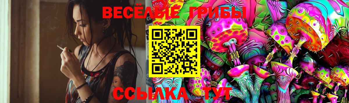 Невинномысск  Псилоцибиновые грибы мухоморы  Галлюциногенные грибы Psilocybine cubensis  Вход с VPN 